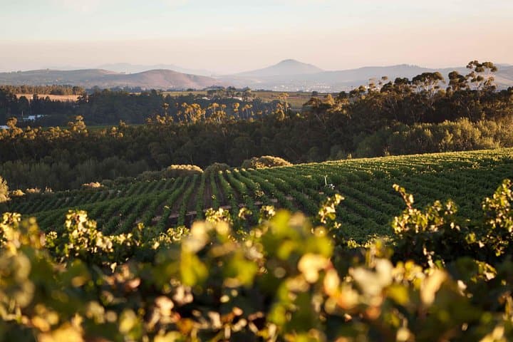 Private Full-Day Stellenbosch Wine Tour: Tastings, Cheese & Chocolate with Pickup photo 2