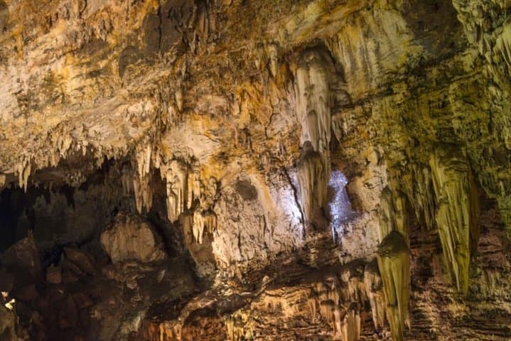 Explore Wonder Cave & Sterkfontein: Cradle of Humankind Day Tour photo 2