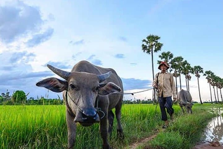 Siem Reap Offbeat Jeep Tour: Silk Farm & Countryside Experience photo 3