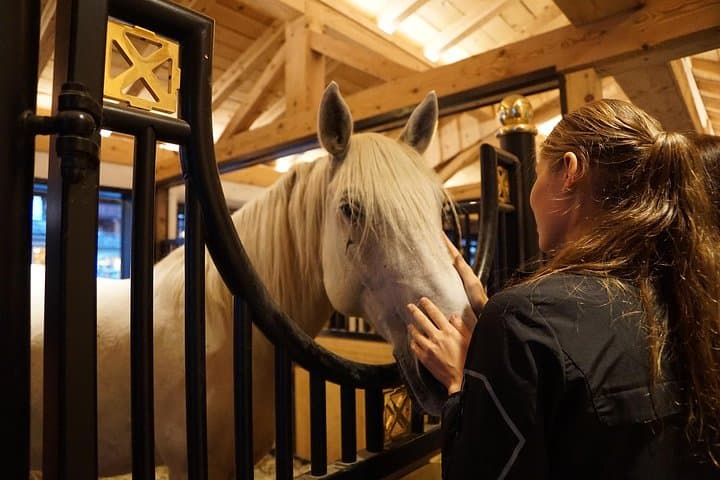 Lipica Stud Farm & Skocjan Caves Day Trip from Ljubljana — Lipizzaners and the World’s Largest Underground Canyon photo 2