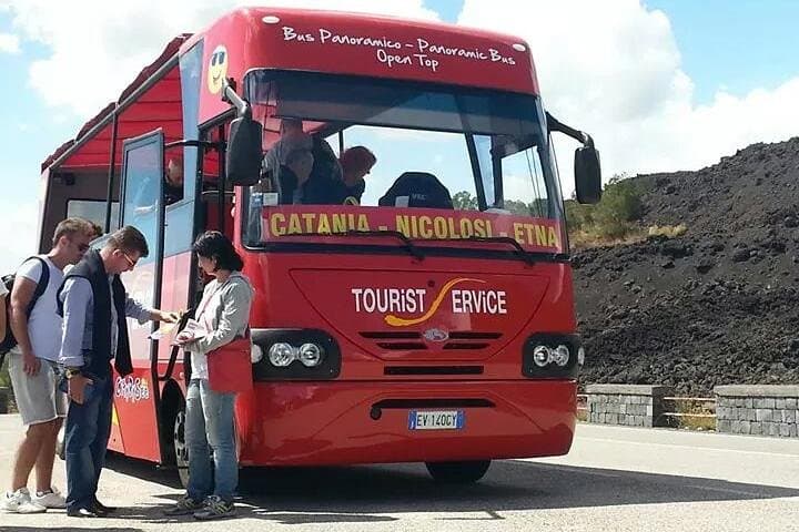 Bus Etna Experience: Panoramic Mount Etna Tour from Catania