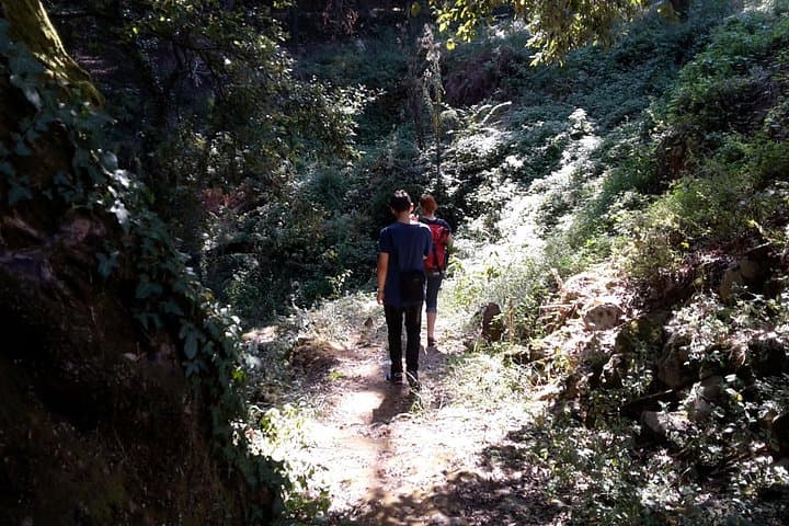 Corfu Countryside Hiking Tour: Olive Groves, Waterfalls & Mt. Pantokrator Trails photo 3