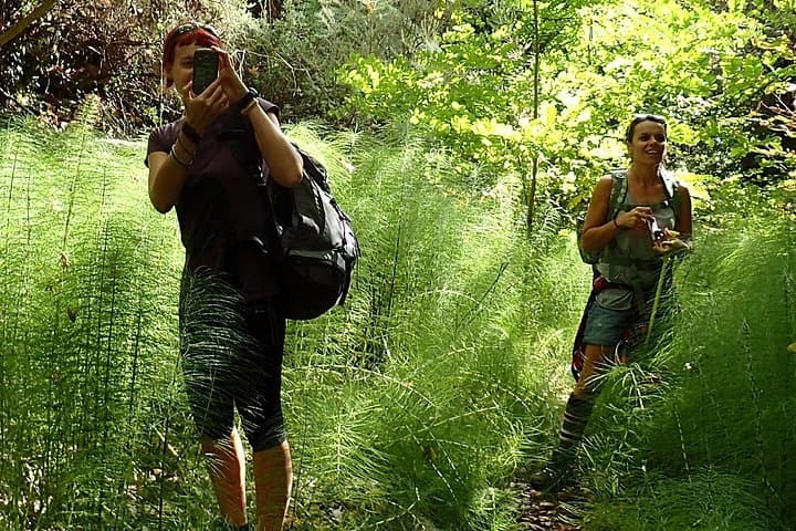 Corfu Countryside Hiking Tour: Olive Groves, Waterfalls & Mt. Pantokrator Trails photo 1