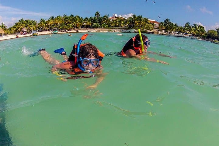Akumal Marine Turtle Snorkel and Jungle Cenote Private Tour photo 4