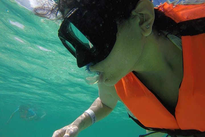 Akumal Marine Turtle Snorkel and Jungle Cenote Private Tour photo 5