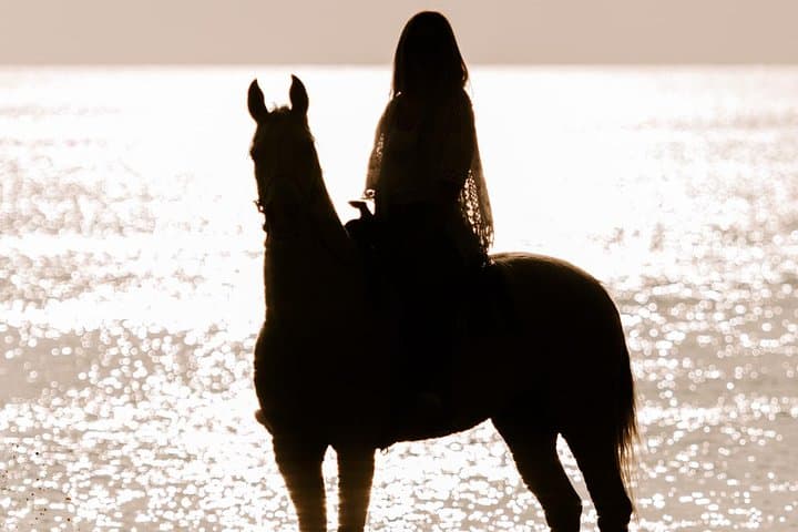 Santorini Horse Riding to Eros Beach — Black Sand Coastal Trail from Megalochori photo 4