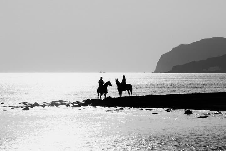 Santorini Horse Riding to Eros Beach — Black Sand Coastal Trail from Megalochori photo 5
