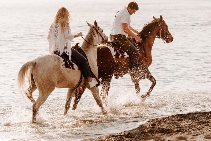 Santorini Horse Riding to Eros Beach — Black Sand Coastal Trail from Megalochori photo 6