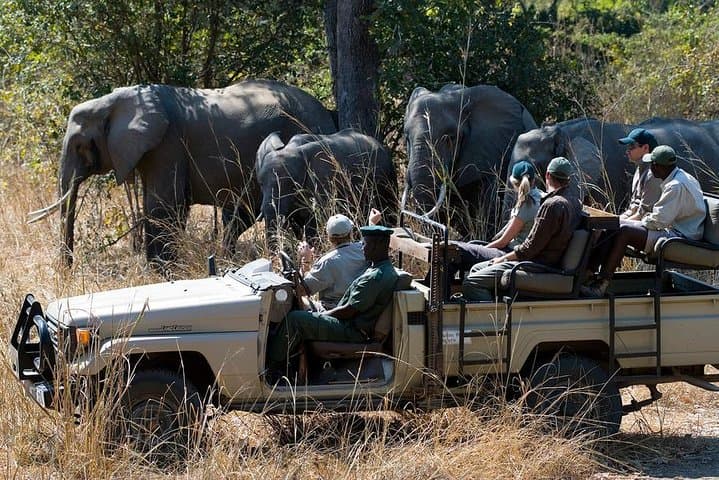 Zambezi Sunset Cruise and Zambezi National Park Game Drive — Boat-to-Bush Safari at Victoria Falls photo 3