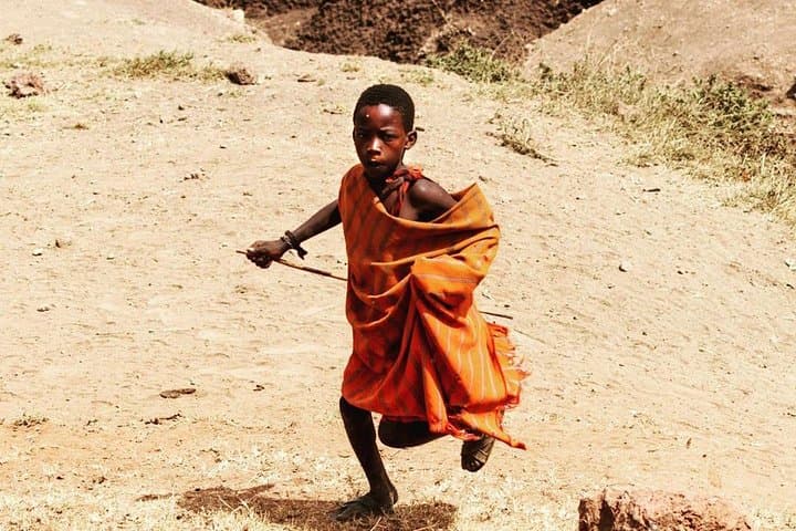 6-Day Tanzania Camping Safari: Serengeti, Ngorongoro & Tarangire Game Drives