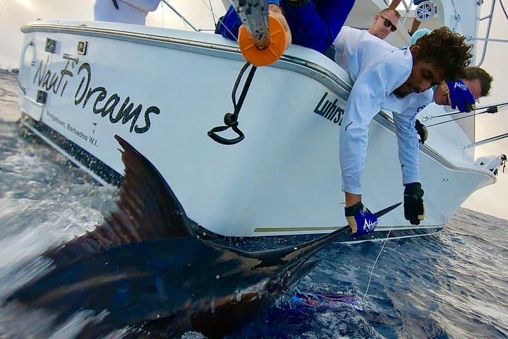 Hook, Reel, Relax: Deep-Sea Fishing in Barbados with Nauti Dreams photo 1