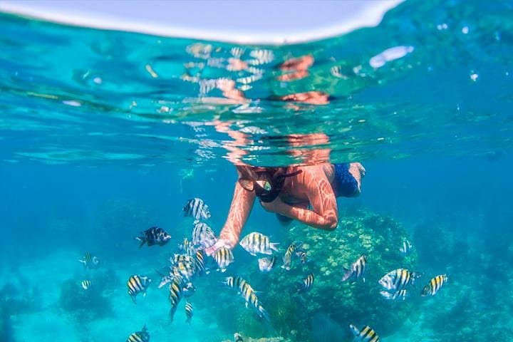 Cancun Parasail and Reef Snorkel Combo: Swim, Fly and Explore the Caribbean photo 4