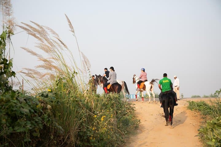 Jaipur Marwari Horse Safari — Village Ride Through the Aravallis photo 3