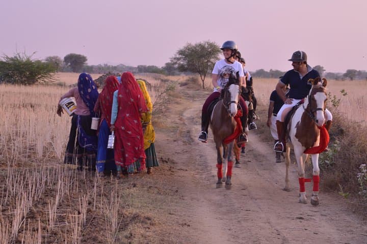 Jaipur Marwari Horse Safari — Village Ride Through the Aravallis photo 5