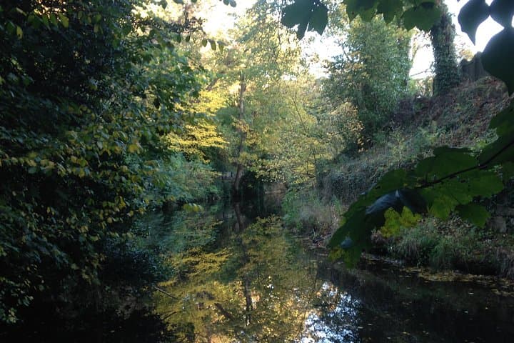 Private Walk Along Edinburgh's Water of Leith — Country in the City photo 2