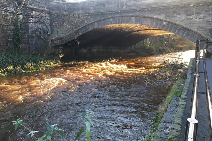 Private Walk Along Edinburgh's Water of Leith — Country in the City photo 4
