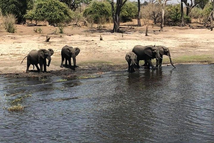 Victoria Falls Luxury Zambezi Dinner Cruise at Sunset photo 2