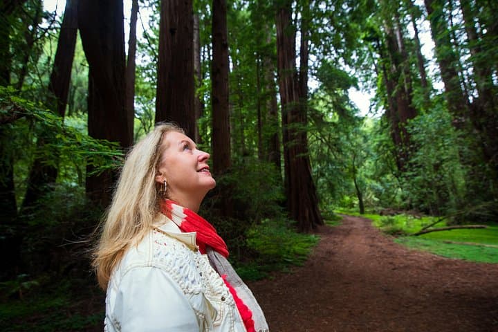 Half-Day Muir Woods & Sausalito Tour from San Francisco — Redwood Walk & Ferry Option photo 3