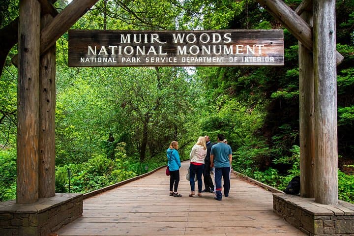 Half-Day Muir Woods & Sausalito Tour from San Francisco — Redwood Walk & Ferry Option photo 4
