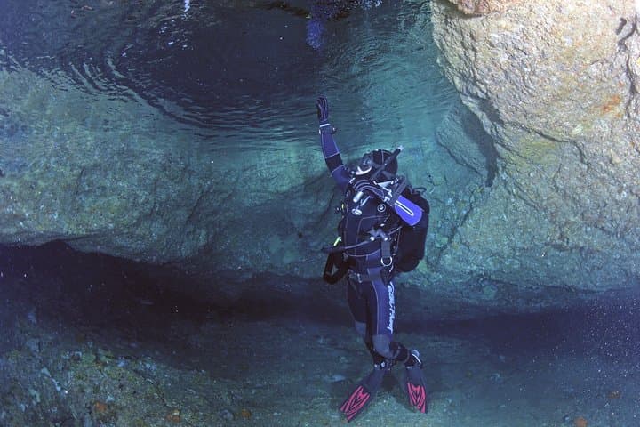 Poor Knights Dive Charter: Explore New Zealand’s Underwater Arches and Sponge Gardens photo 5