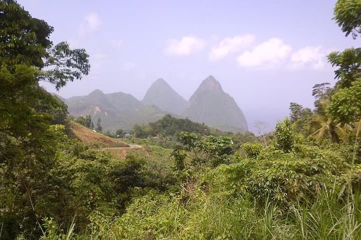 Tet Paul Nature Trail St Lucia: Soufrière Hike with Piton Views