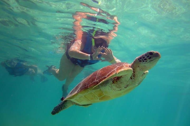 Private Akumal Sea Turtle Encounter and Yal-Ku Lagoon Snorkel