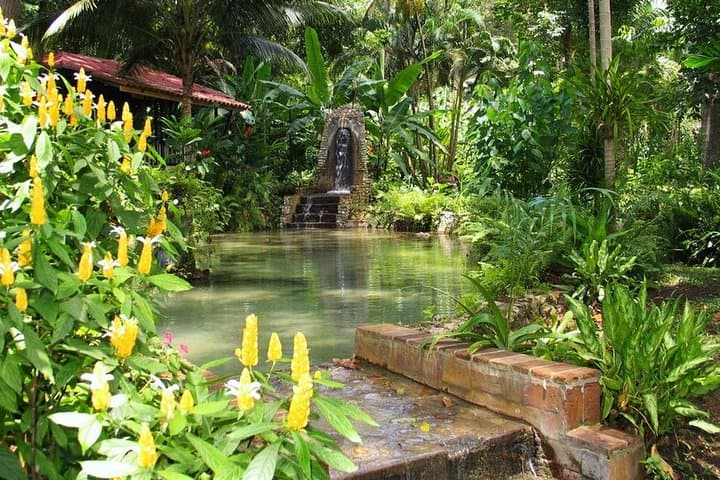 Climb Konoko Falls: Private Tour of Ocho Rios' Tropical Garden and Cascades