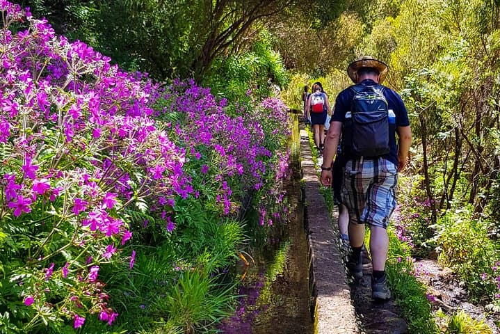 Rabaçal 25 Fontes Levada Walk — Classic Laurissilva Hike in Madeira photo 6