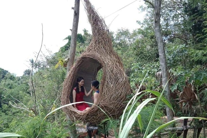 Best of Ubud Full-Day Private Tour — Monkey Forest, Rice Terraces, Swing & Waterfall photo 4