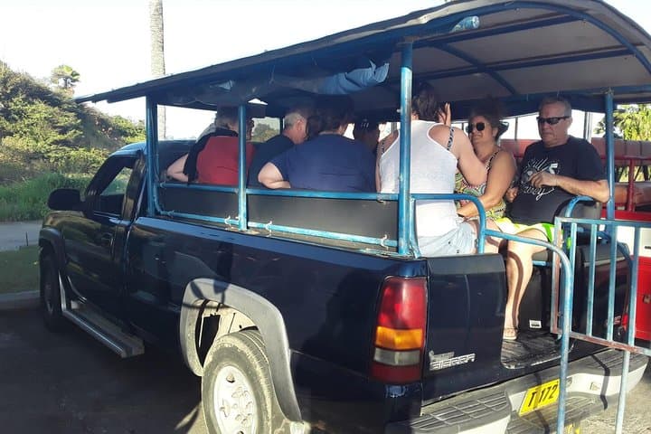 Safari Extravaganza: Rainforest Drive, Bayfords View & Caribbean Beach Dip in St. Kitts photo 3