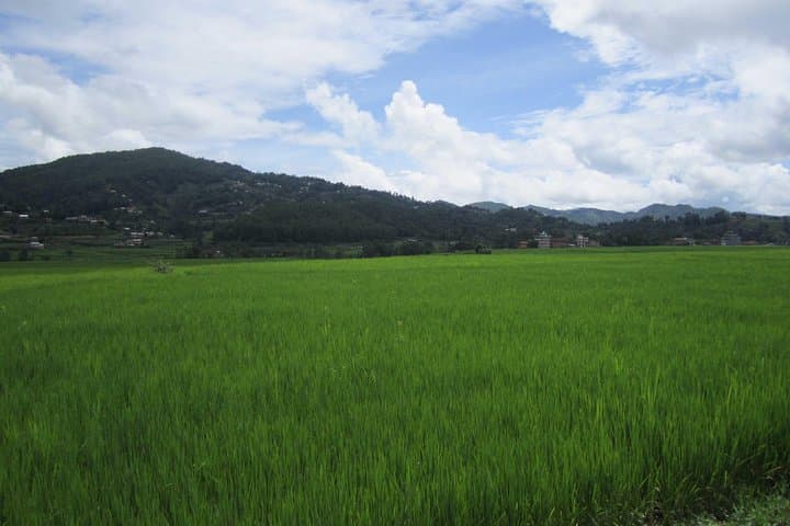 Around Kathmandu Trek: Easy Cultural Treks & Ridge Walks Near the Valley