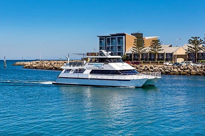 Rottnest Island Boat Dive Day Trip — Limestone Caverns & Soft Coral Walls photo 2