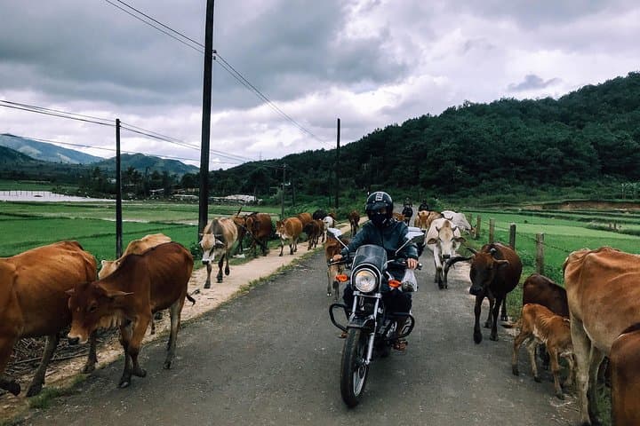 Two-Day Motorbike Adventure: Da Lat to Mui Ne Coastal Ride photo 2