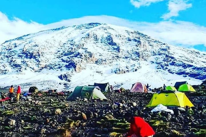 5-Day Marangu Route Kilimanjaro Trek: Huts, Itinerary & Summit Guide photo 3