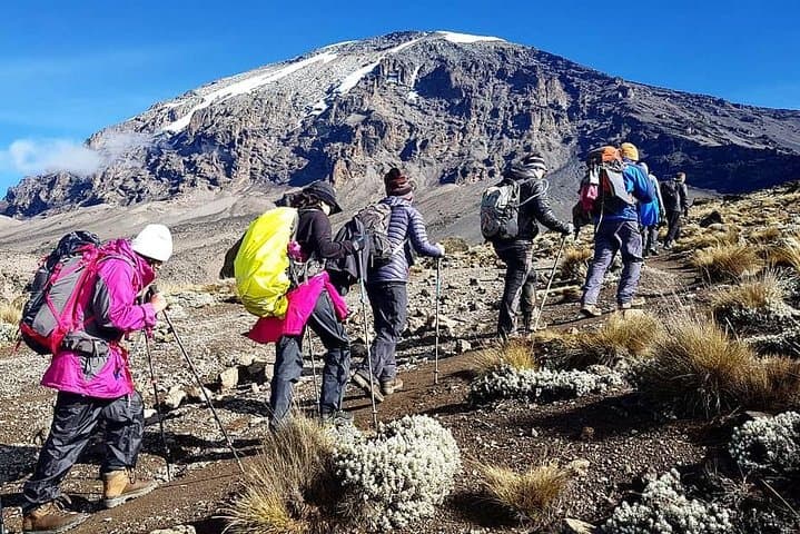 Kilimanjaro Rongai Route: A 7-Day North-Side Summit Guide photo 2