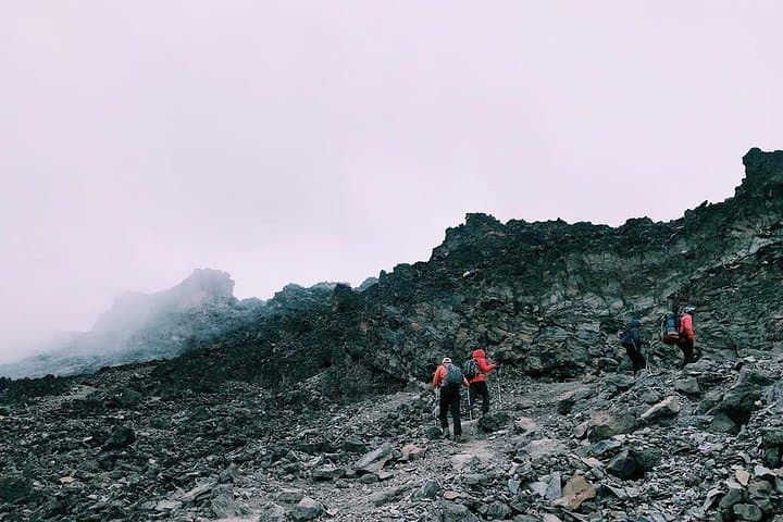 7-Day Lemosho Route Guide — Smart 7-Day Kilimanjaro Ascent via Lemosho photo 6