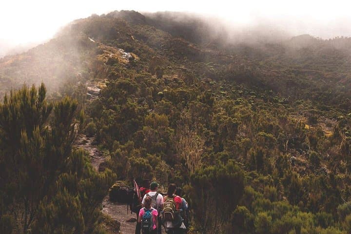 6-Day Machame Route Kilimanjaro: Summit Uhuru Peak via Barranco & Barafu photo 6