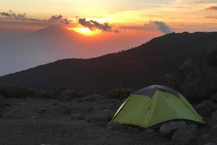 Kilimanjaro Rongai Route: A 7-Day North-Side Summit Guide