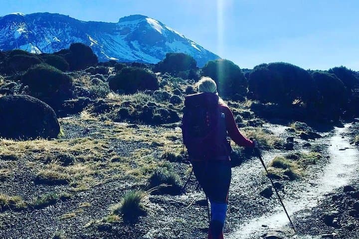 7-day-mount-kilimanjaro-machame-route-complete-guide