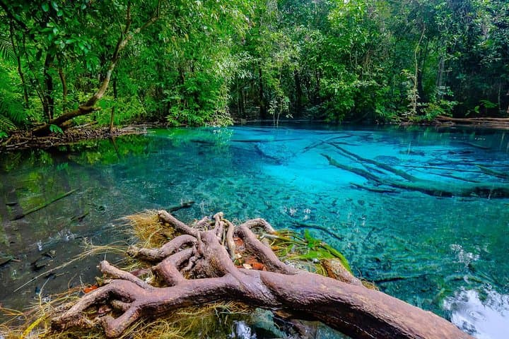 Full-Day Krabi Rainforest Discovery: Hot Springs, Emerald Pool & Tiger Cave Temple
