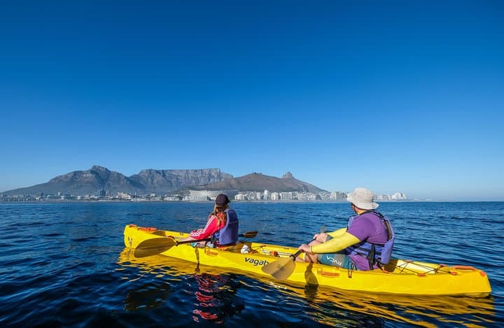 Sea Kayaking Table Bay: Paddle Table Mountain Views & Marine Life in Cape Town photo 2