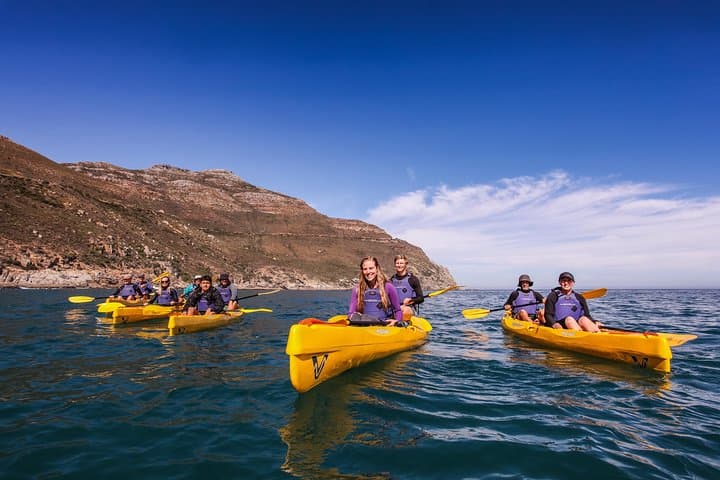 Sea Kayak Chapman's Peak & Karbonkelberg: Guided Hout Bay Ocean Paddle photo 4