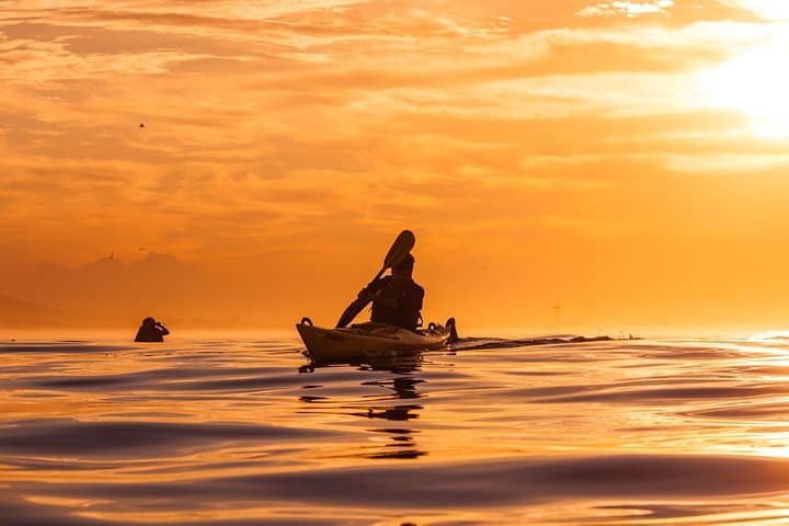 Sea Kayaking Table Bay: Paddle Table Mountain Views & Marine Life in Cape Town photo 4