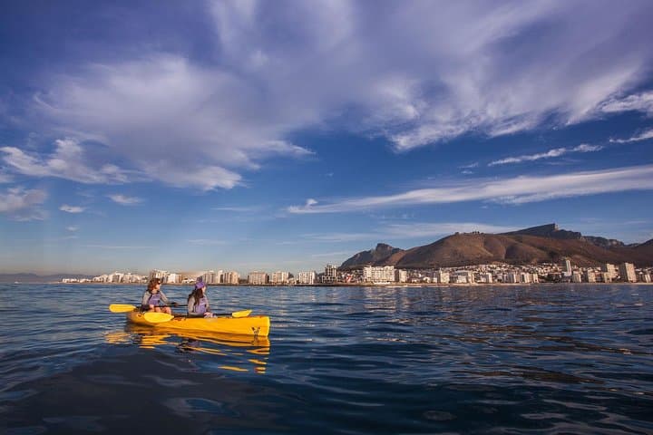Sea Kayaking Table Bay: Paddle Table Mountain Views & Marine Life in Cape Town photo 6
