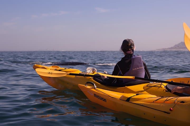 Sea Kayak from Simon's Town: Paddle to Boulders Beach Penguins photo 2