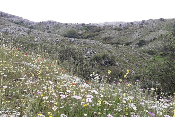 Pantokrator Peak Hike — Corfu's Highest Summit & Panoramic Trails photo 2