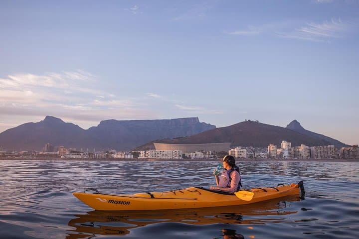 Sea Kayaking Table Bay: Paddle Table Mountain Views & Marine Life in Cape Town photo 3