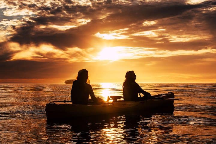 Sea Kayaking Table Bay: Paddle Table Mountain Views & Marine Life in Cape Town photo 5