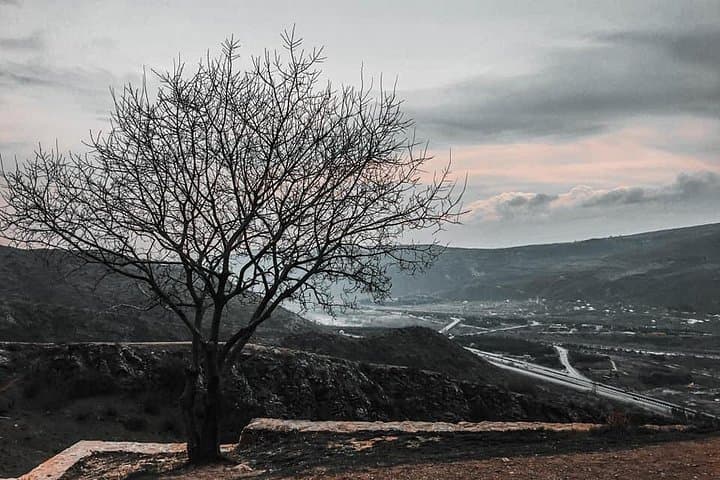 3-Day Tbilisi, Kazbegi & Kakheti Private Tour with Airport Transfer photo 3