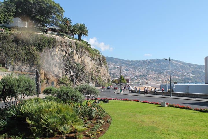 Funchal Hop-On Hop-Off and Catamaran Whale & Dolphin Watching — Bus & Boat Combo photo 6